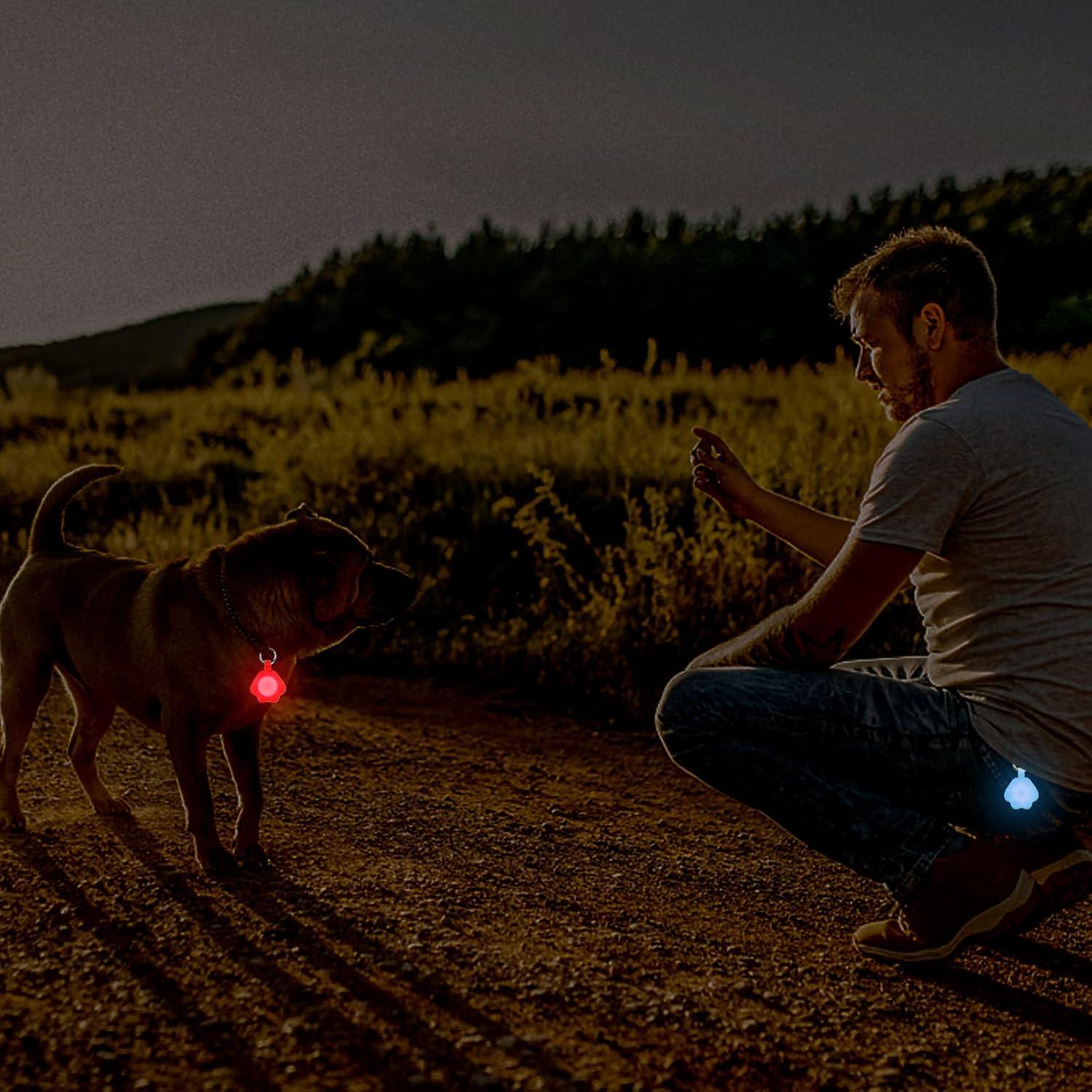 Luz LED para Perros NOVKIN - 2 Paquetes, Carga USB, IP67
