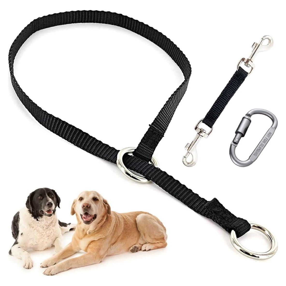 Collar de Respaldo Mayerzon para Perros - Nylon, Negro, L
