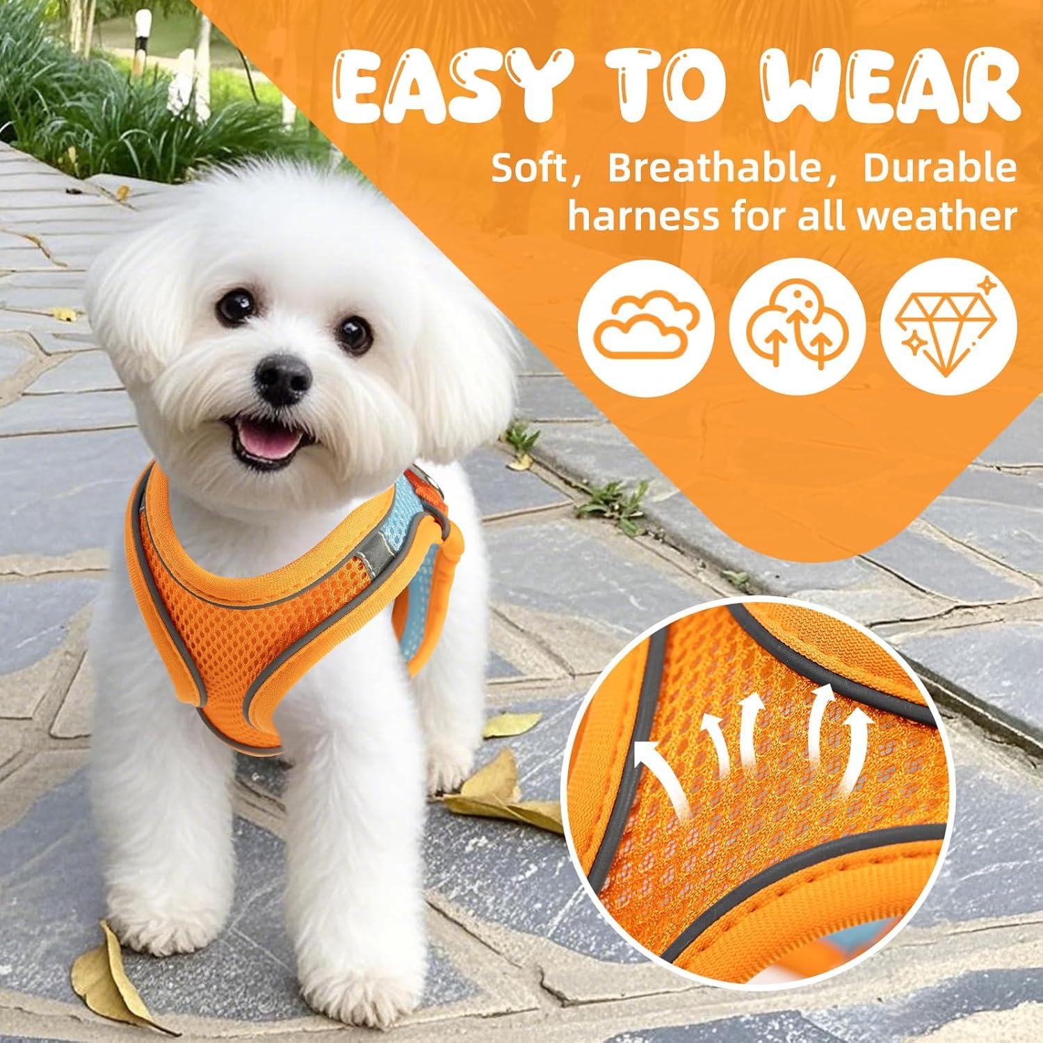 Arnés y Correa para Gatos Jieffifa - Chaleco Ajustable Reflectante