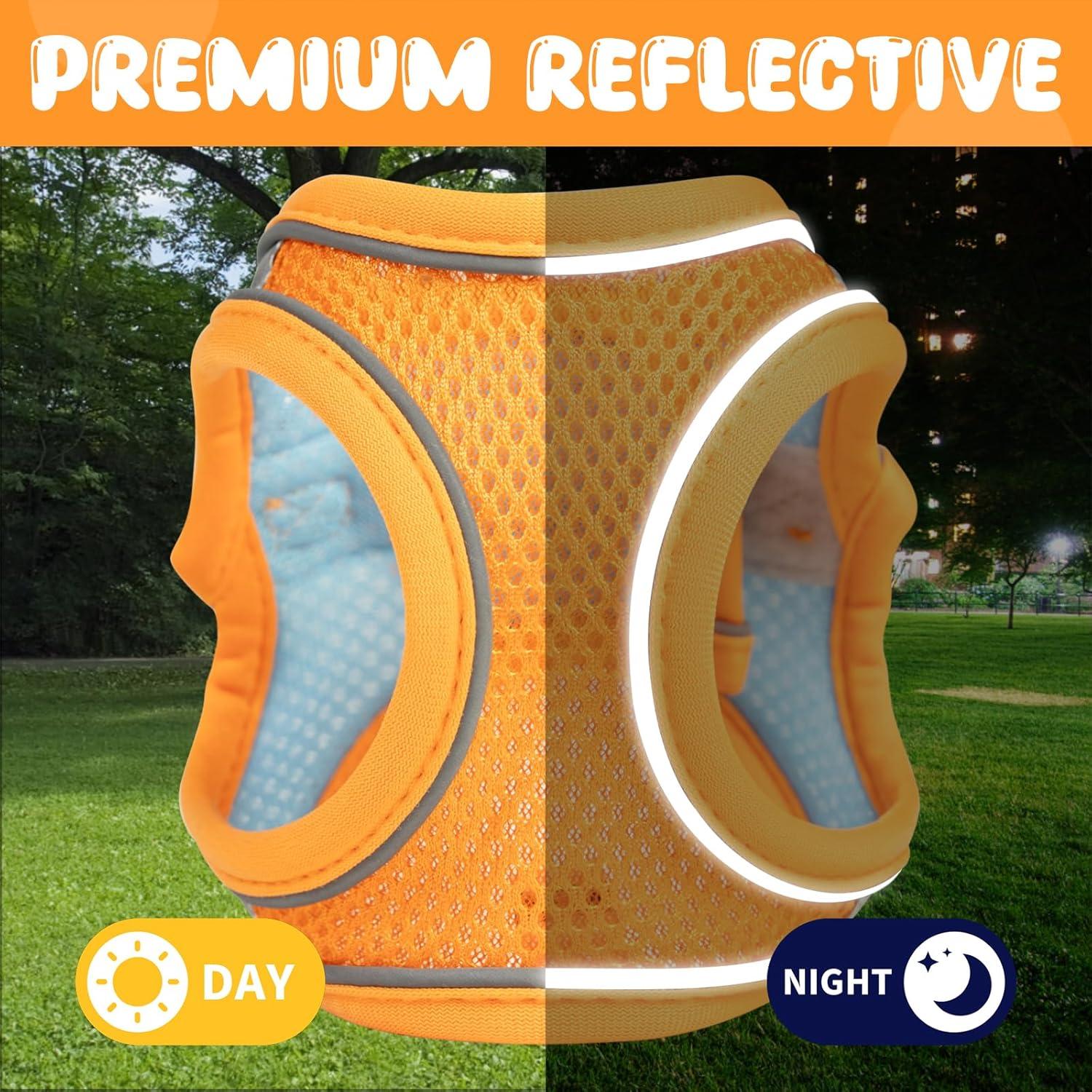 Arnés y Correa para Gatos Jieffifa - Chaleco Ajustable Reflectante