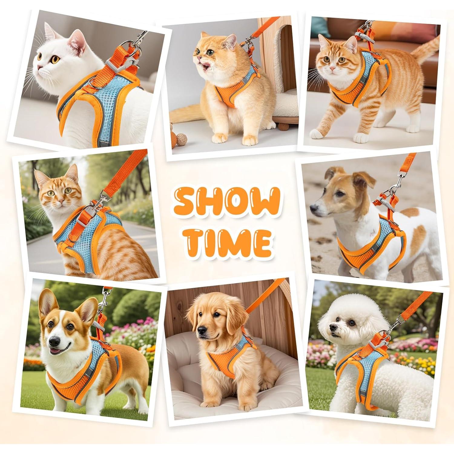 Arnés y Correa para Gatos Jieffifa - Chaleco Ajustable Reflectante