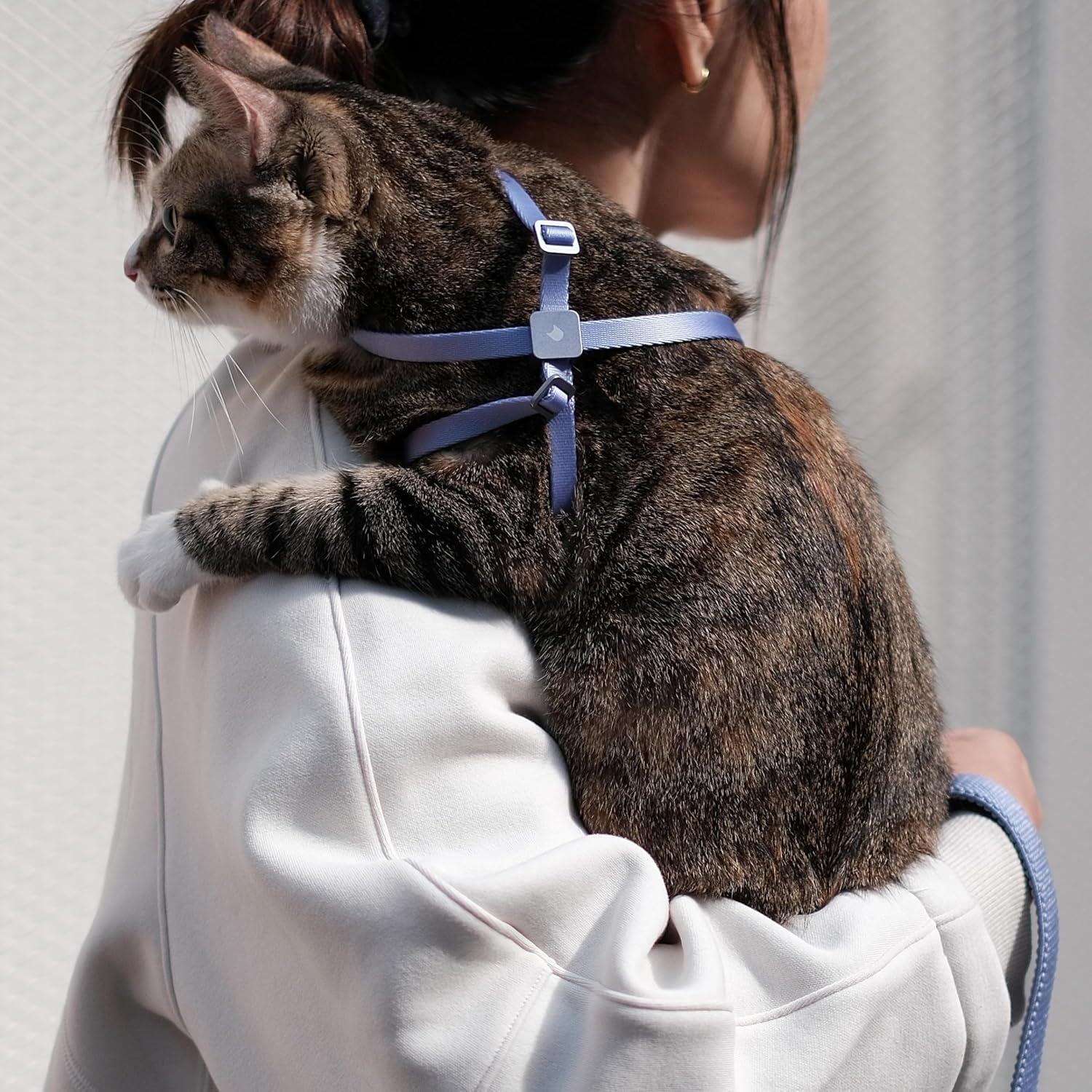 Arnés y Correa 2-en-1 BuddyArmor para Gatos y Perros Pequeños