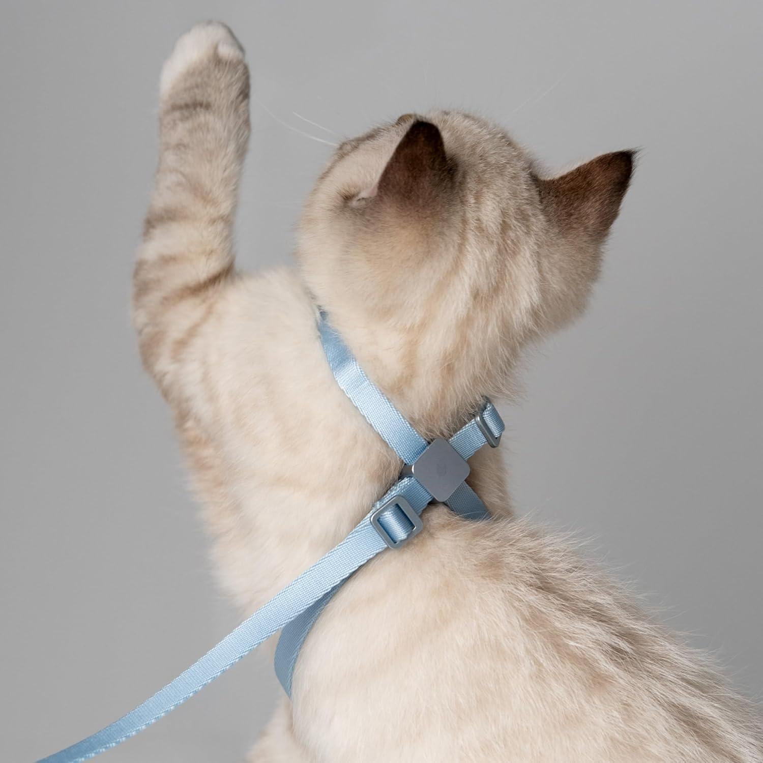 Arnés y Correa 2-en-1 BuddyArmor para Gatos y Perros Pequeños