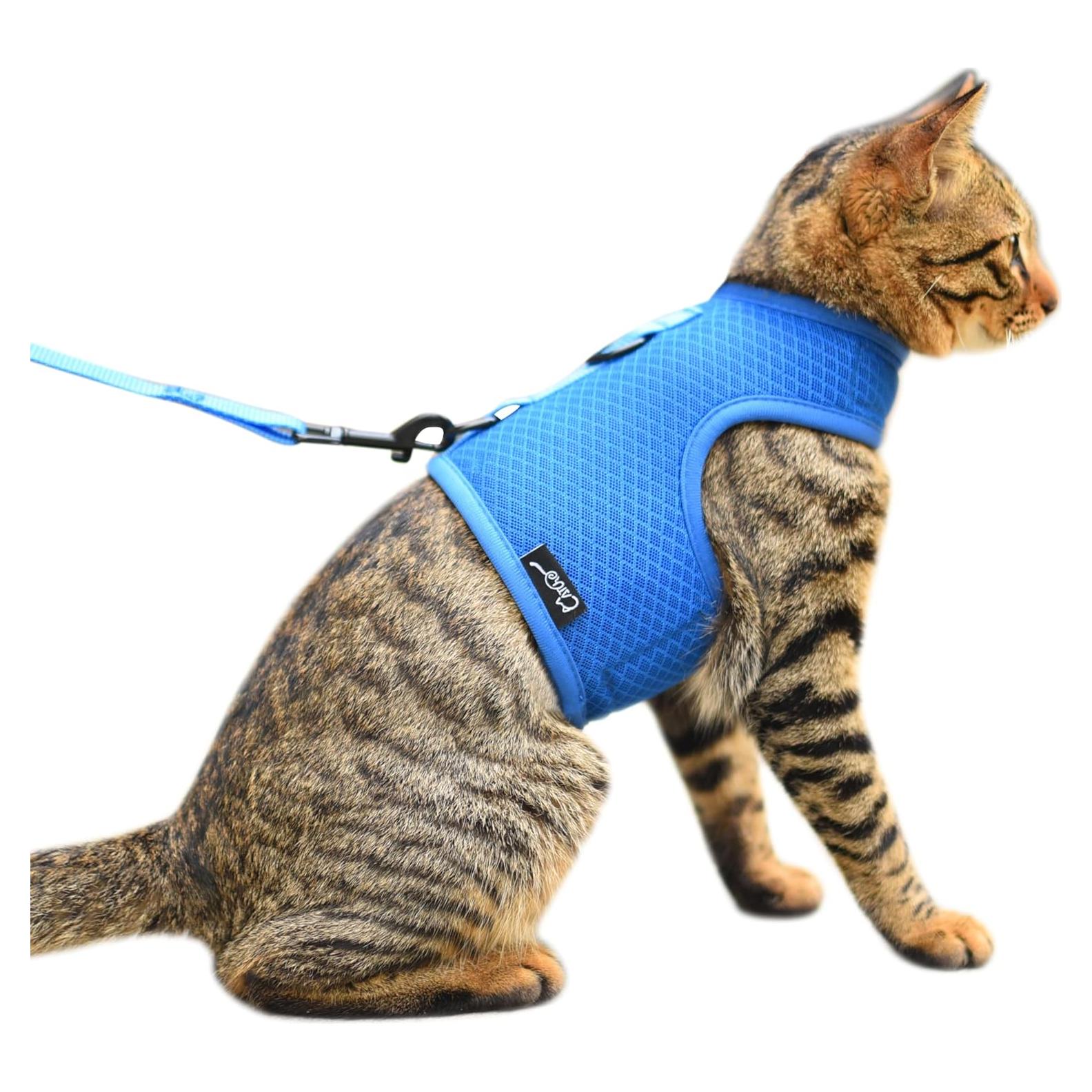 Arnés y Correa para Gatos Yizhi Miaow Azul Grande A Prueba de Escapes