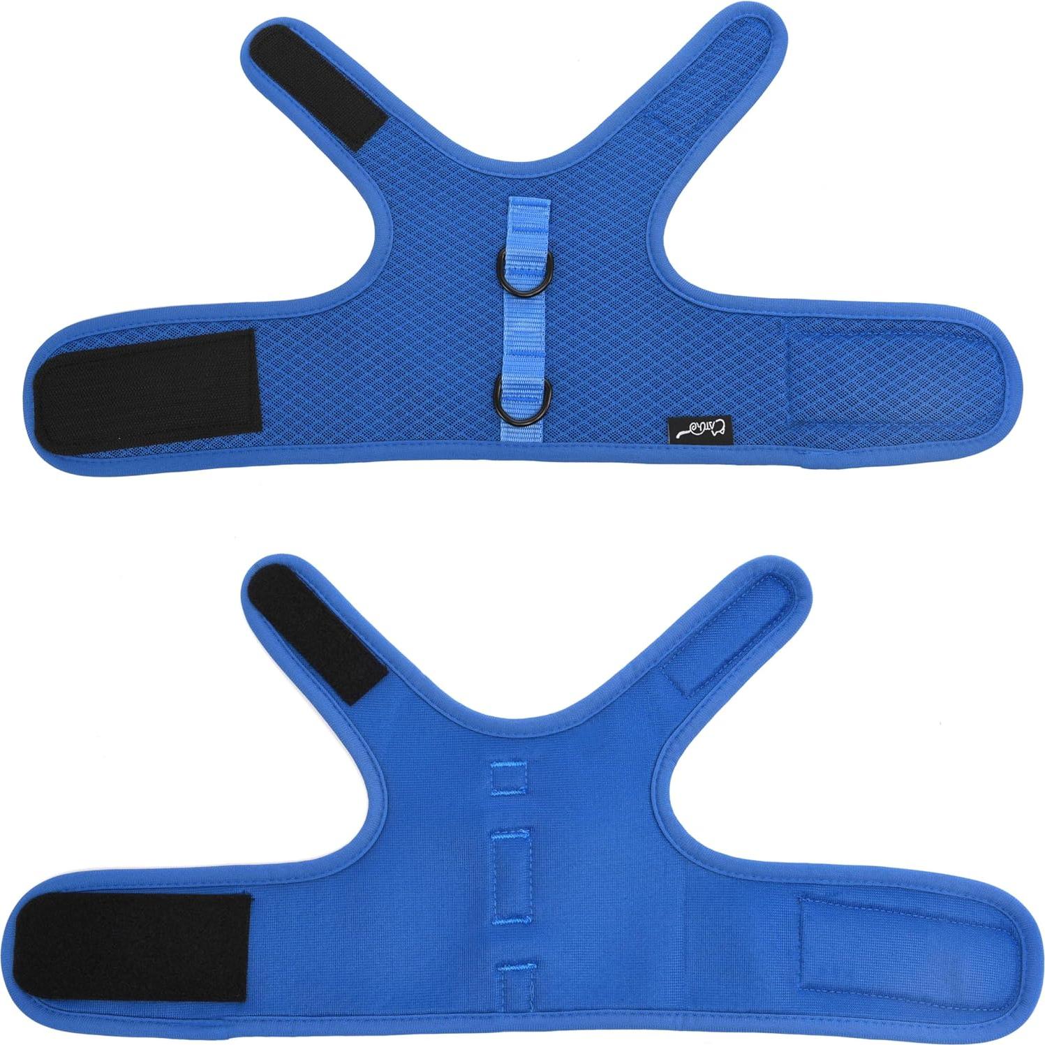 Arnés y Correa para Gatos Yizhi Miaow Azul Grande A Prueba de Escapes