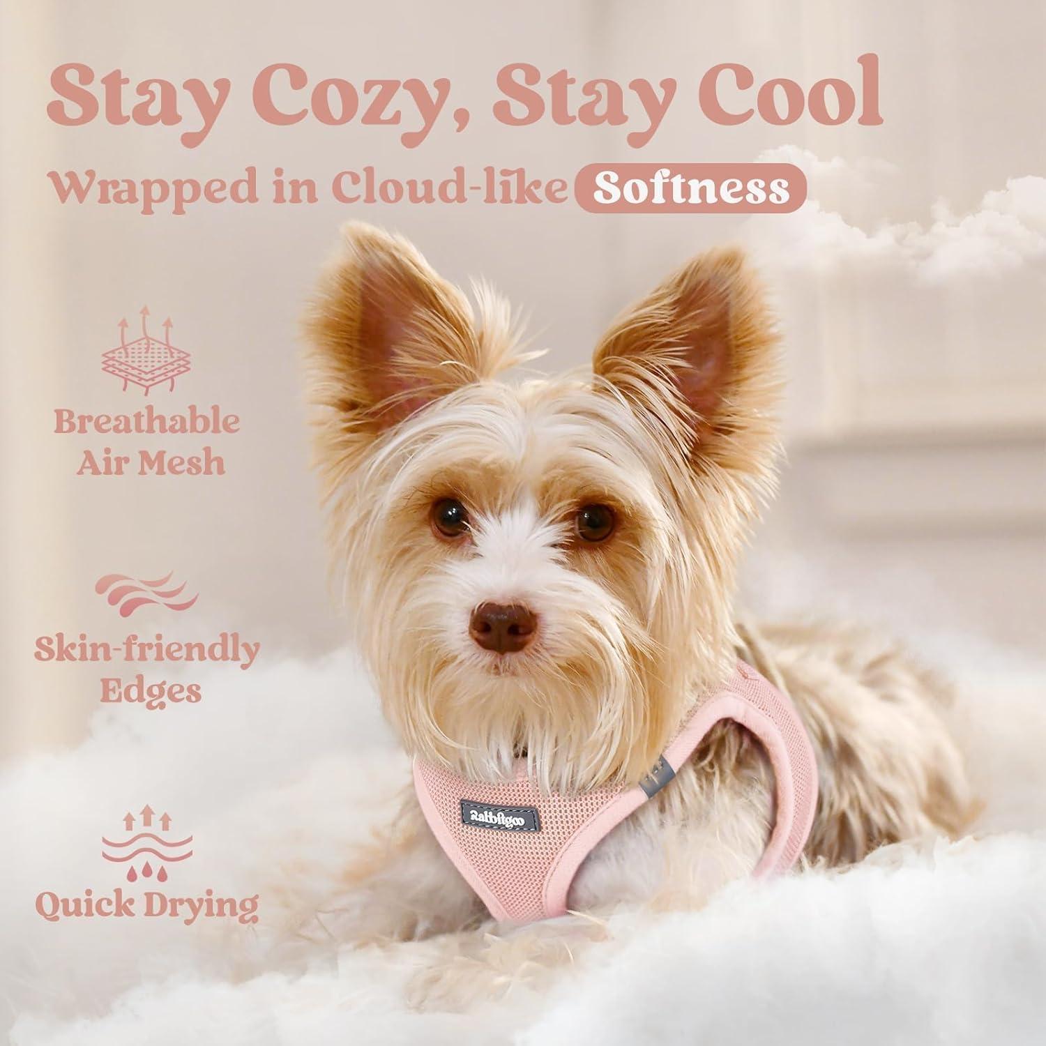 Arnés para Perros Pequeños Rabbitgoo Rosa S - Malla Suave y Reflectante