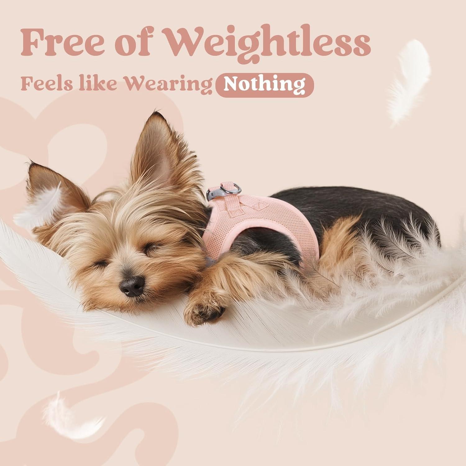 Arnés para Perros Pequeños Rabbitgoo Rosa S - Malla Suave y Reflectante