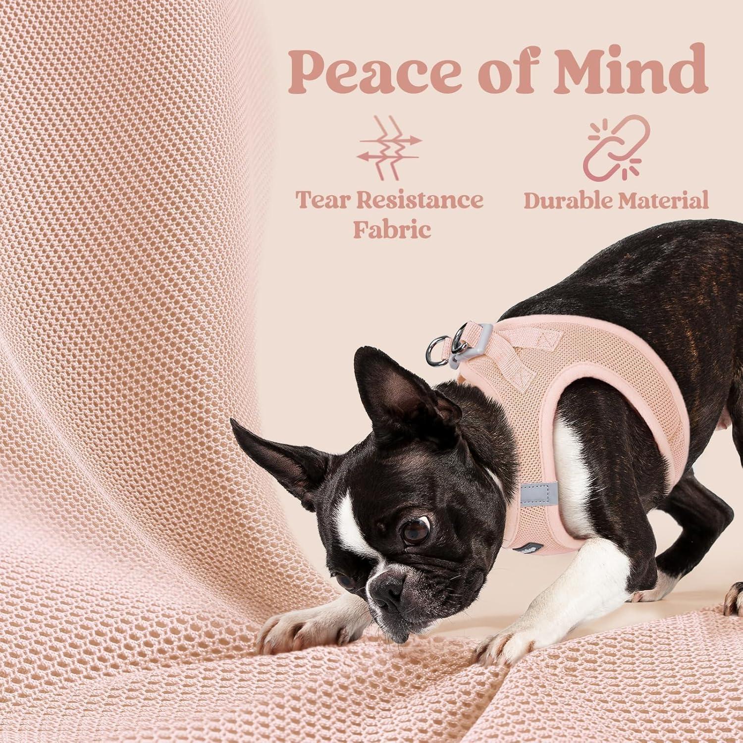 Arnés para Perros Pequeños Rabbitgoo Rosa S - Malla Suave y Reflectante