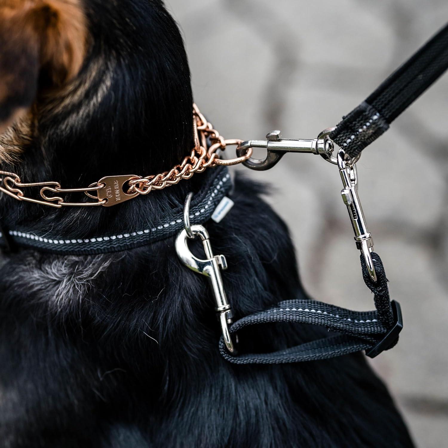 Clip de Seguridad para Collar de Púas Herm. Sprenger Azul 15-20 cm