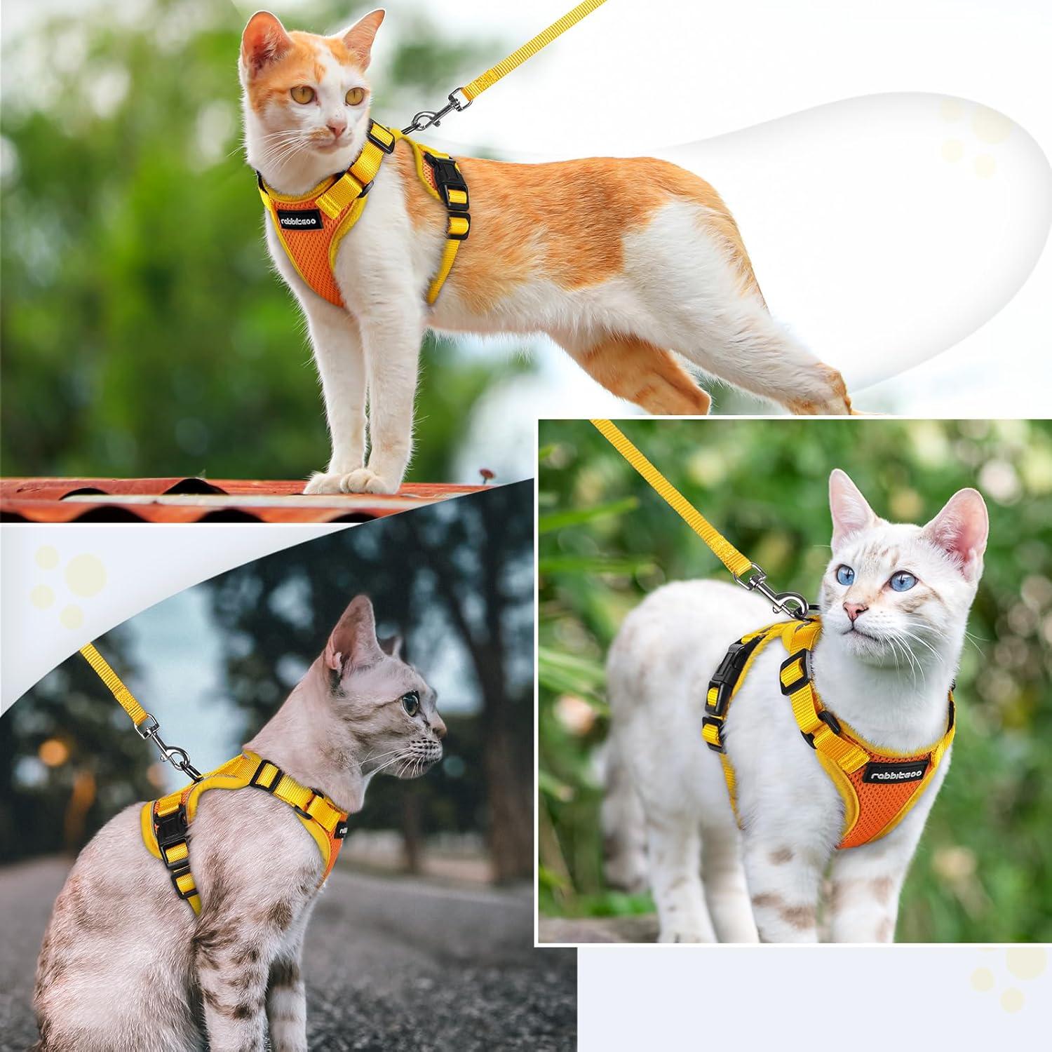 Arnés y Correa para Gatos Rabbitgoo XS Naranja y Amarillo