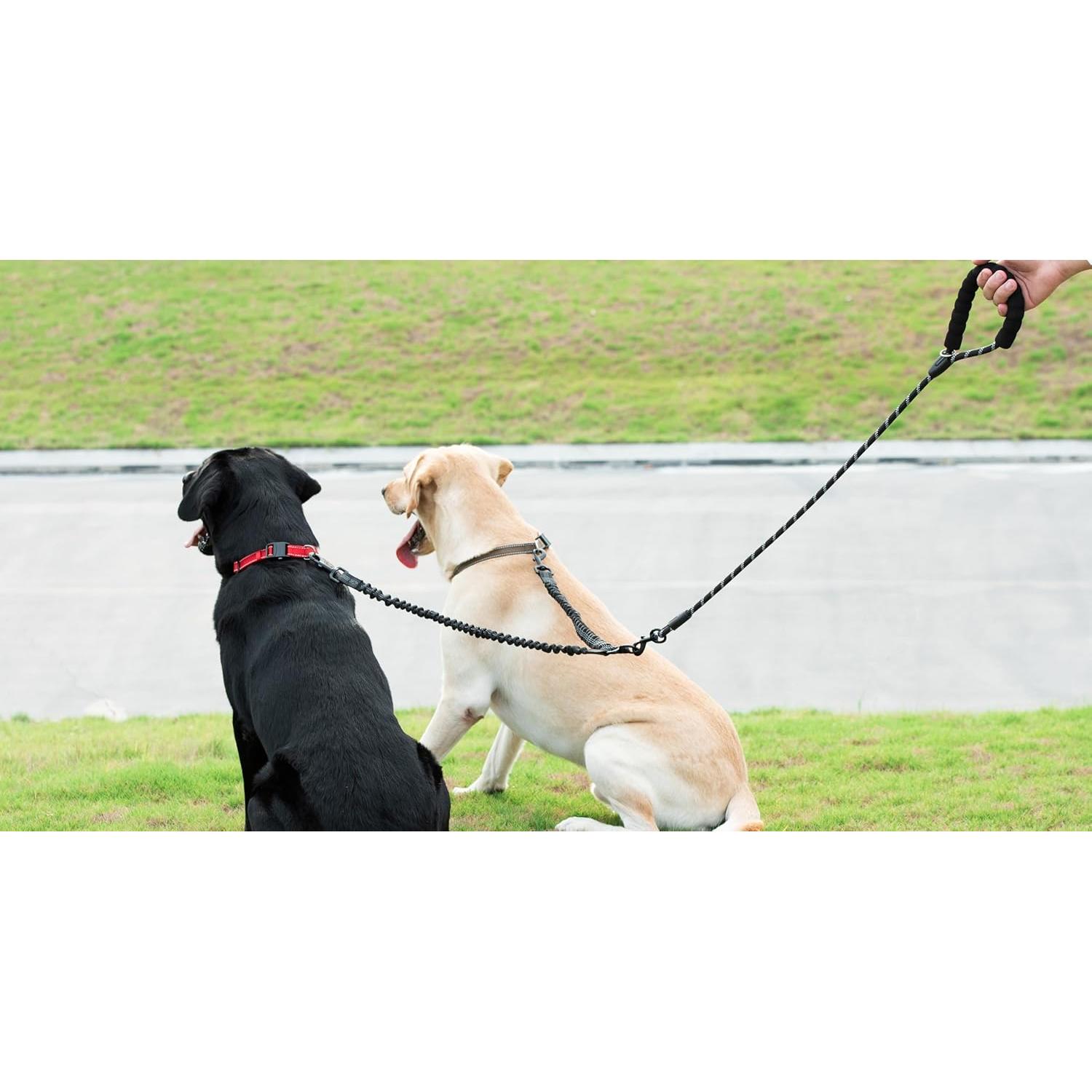 Correa Doble para Perros iYoShop - Sin Enredos, Amortiguador, Grande