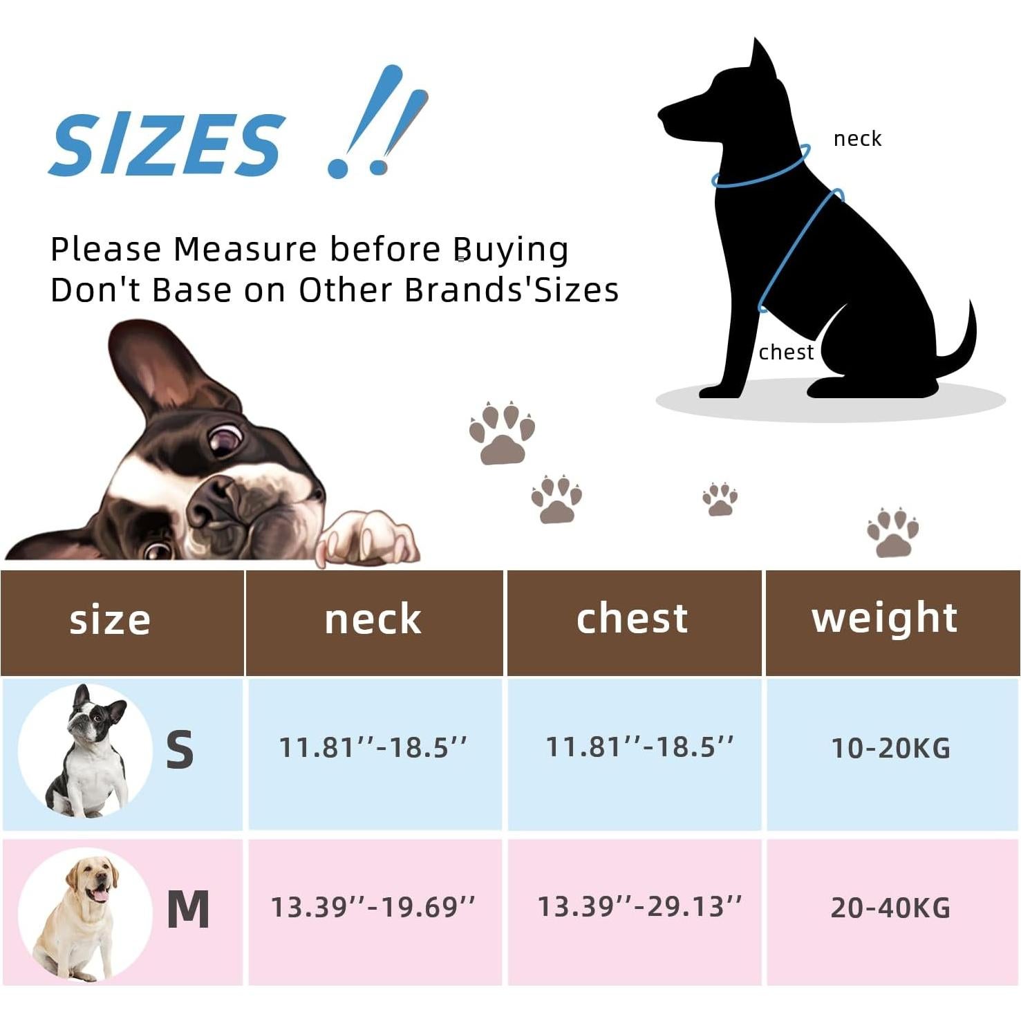 Conjunto Arnés y Correa Reflectante Maibu Pequeño Azul