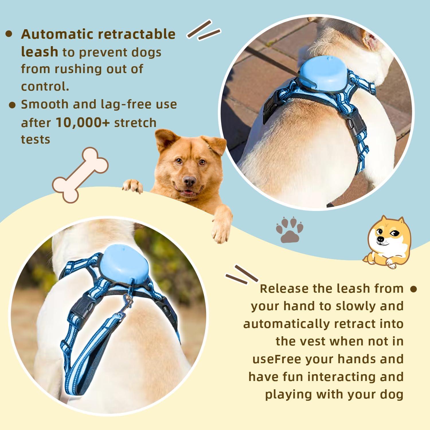 Conjunto Arnés y Correa Reflectante Maibu Pequeño Azul