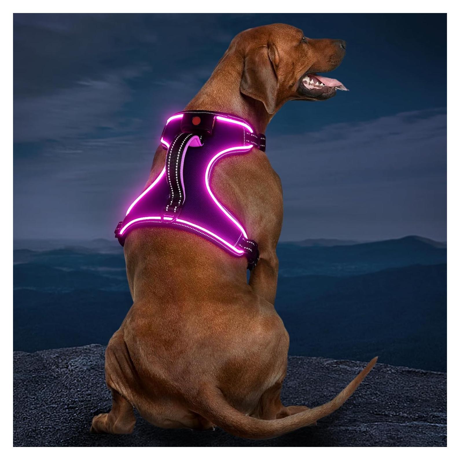 Arnés LED Vizbrite para Perros Mediano Púrpura-Rosa Ajustable