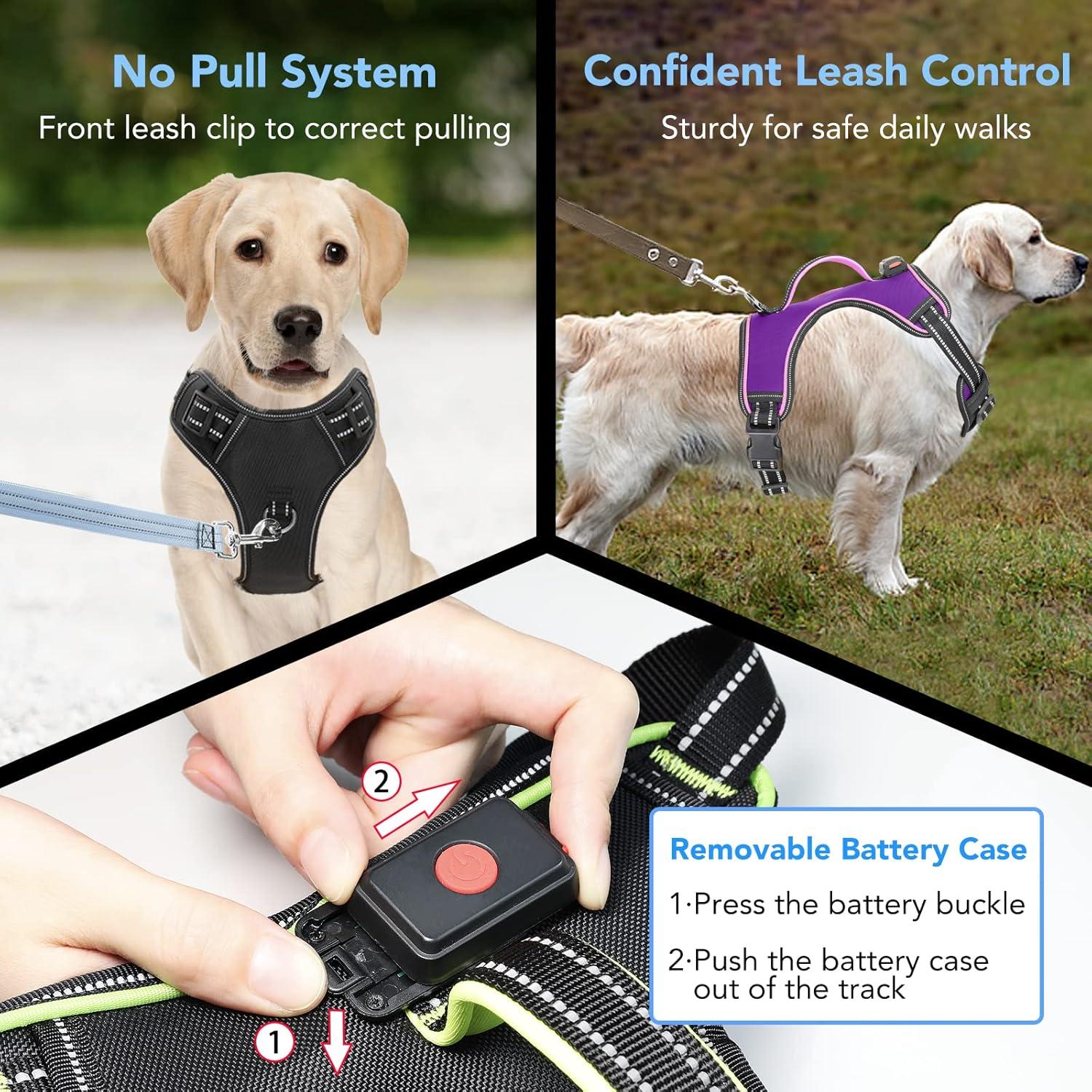 Arnés LED Vizbrite para Perros Mediano Púrpura-Rosa Ajustable