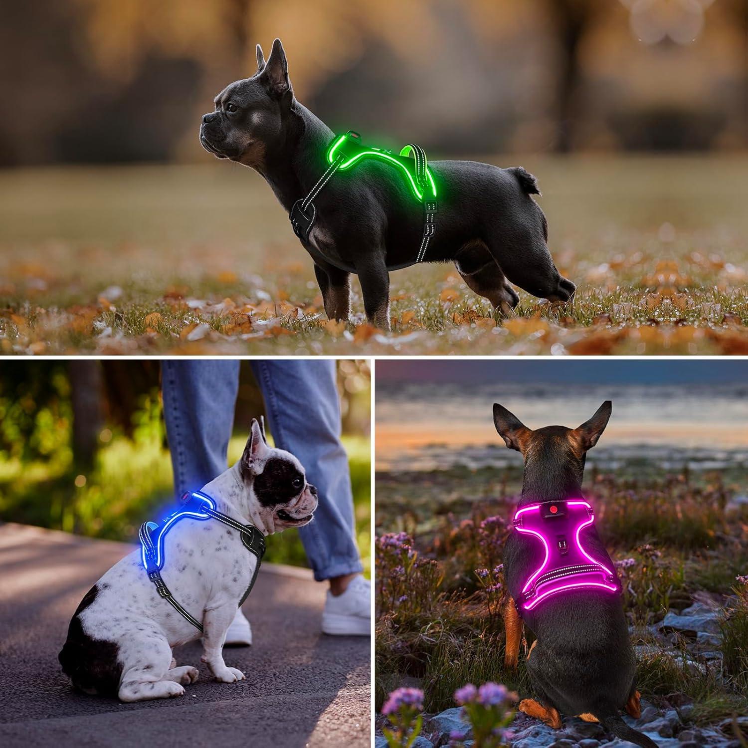 Arnés LED Vizbrite para Perros Mediano Púrpura-Rosa Ajustable