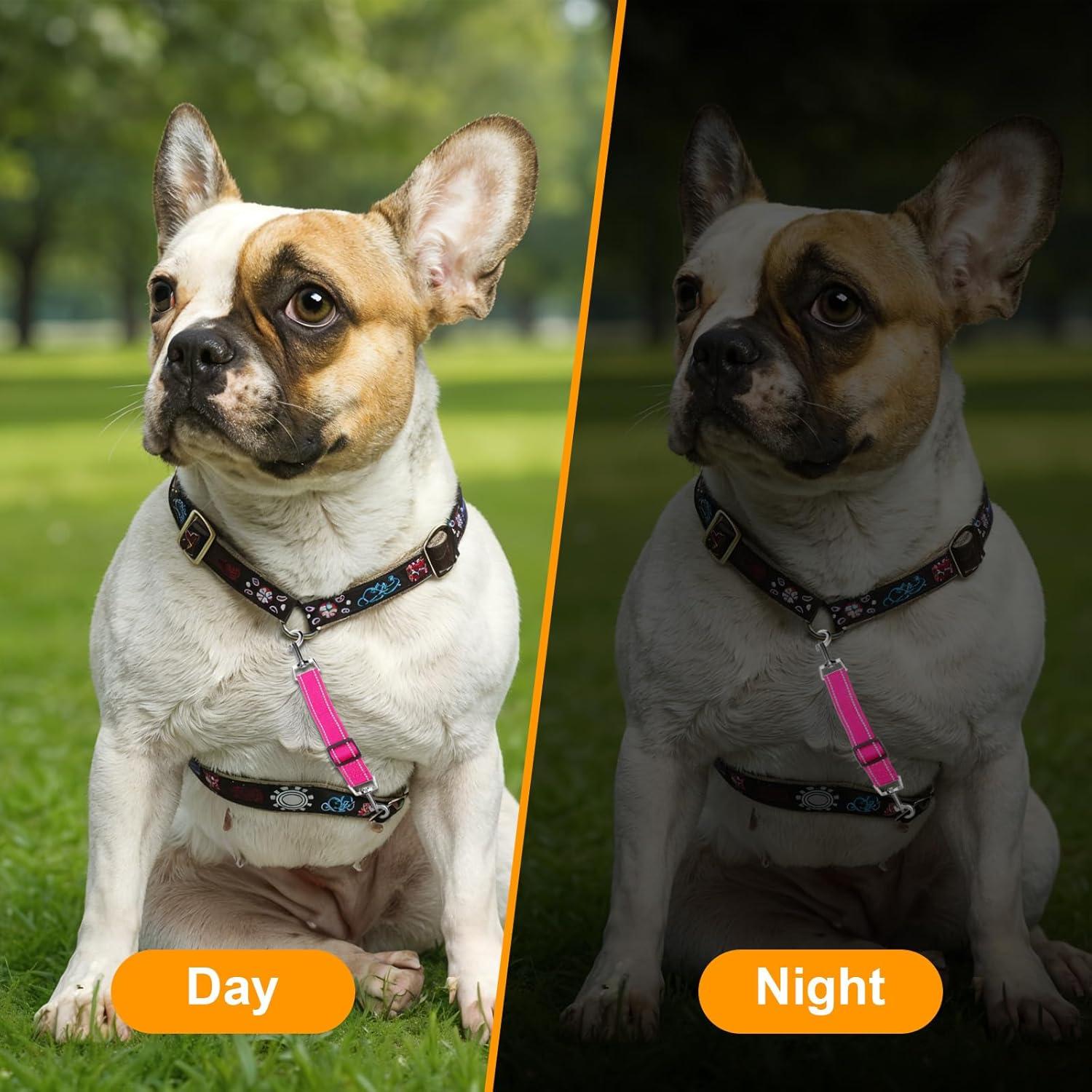 Clip de Seguridad para Collares de Perro Ptwola 3 Piezas Ajustable