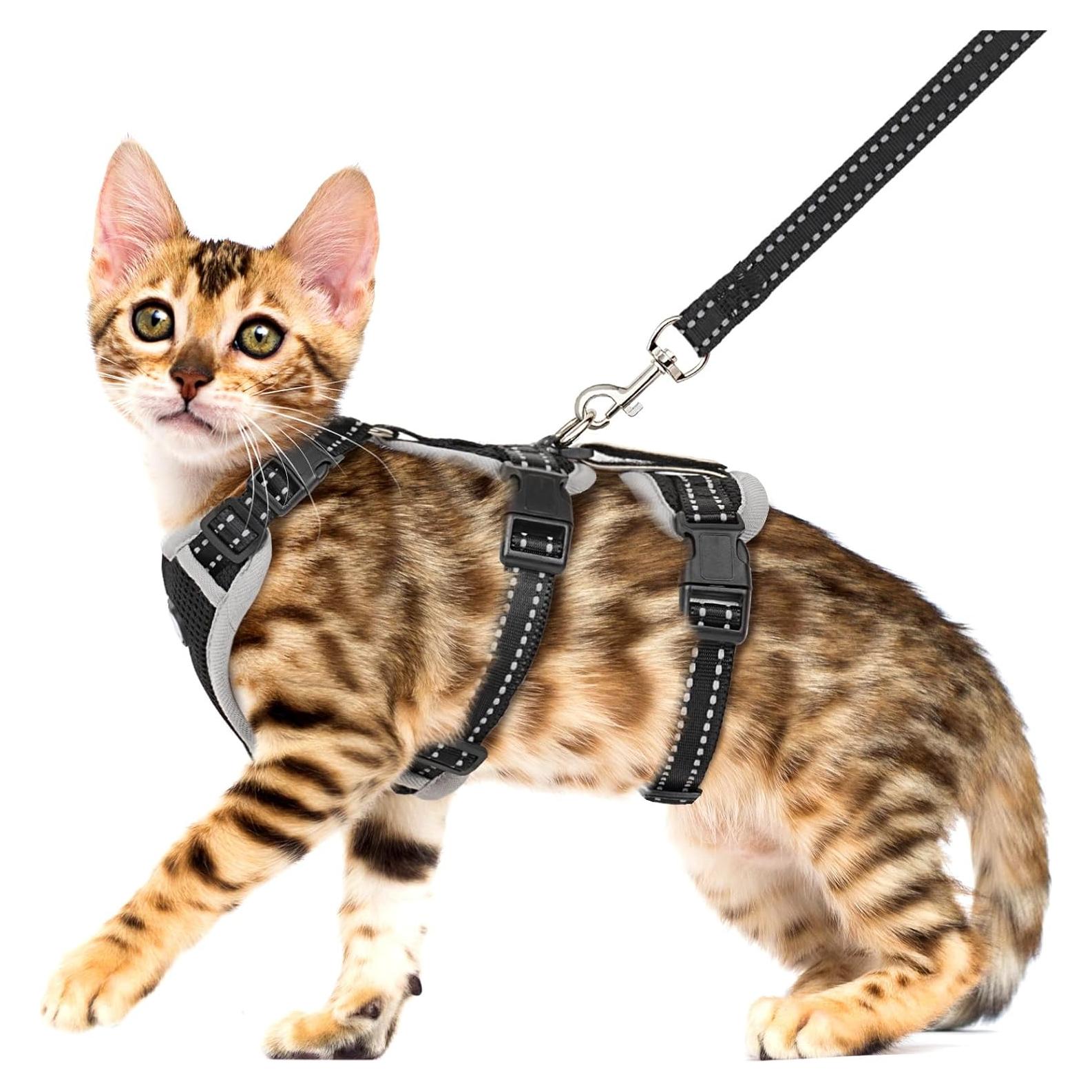 Arnés y Correa para Gatos Pawfun, Ajustable y Reflectante, M