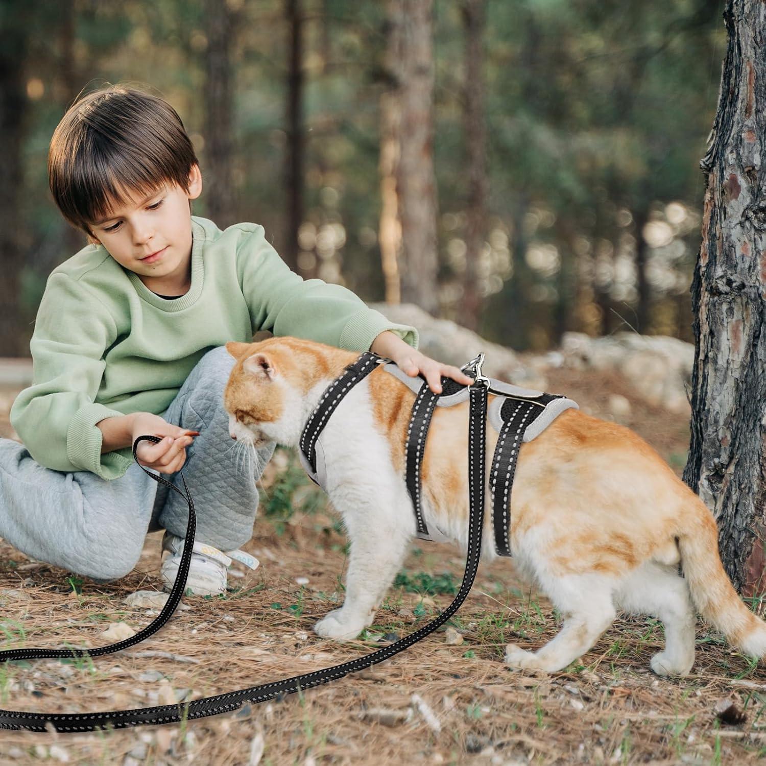 Arnés y Correa para Gatos Pawfun, Ajustable y Reflectante, M