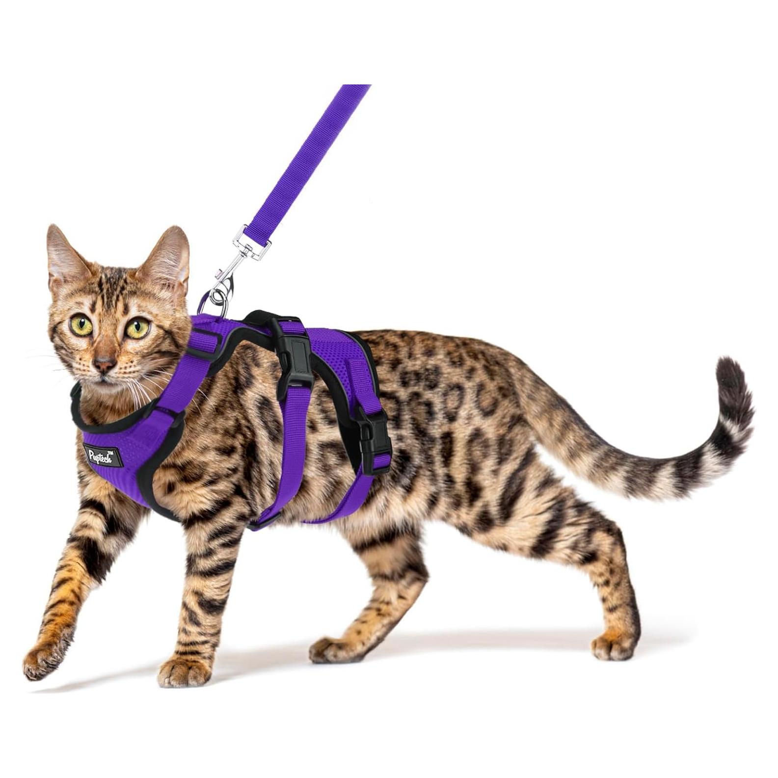 Arnés y Correa para Gato PUPTECK Mediano Púrpura Ajustable