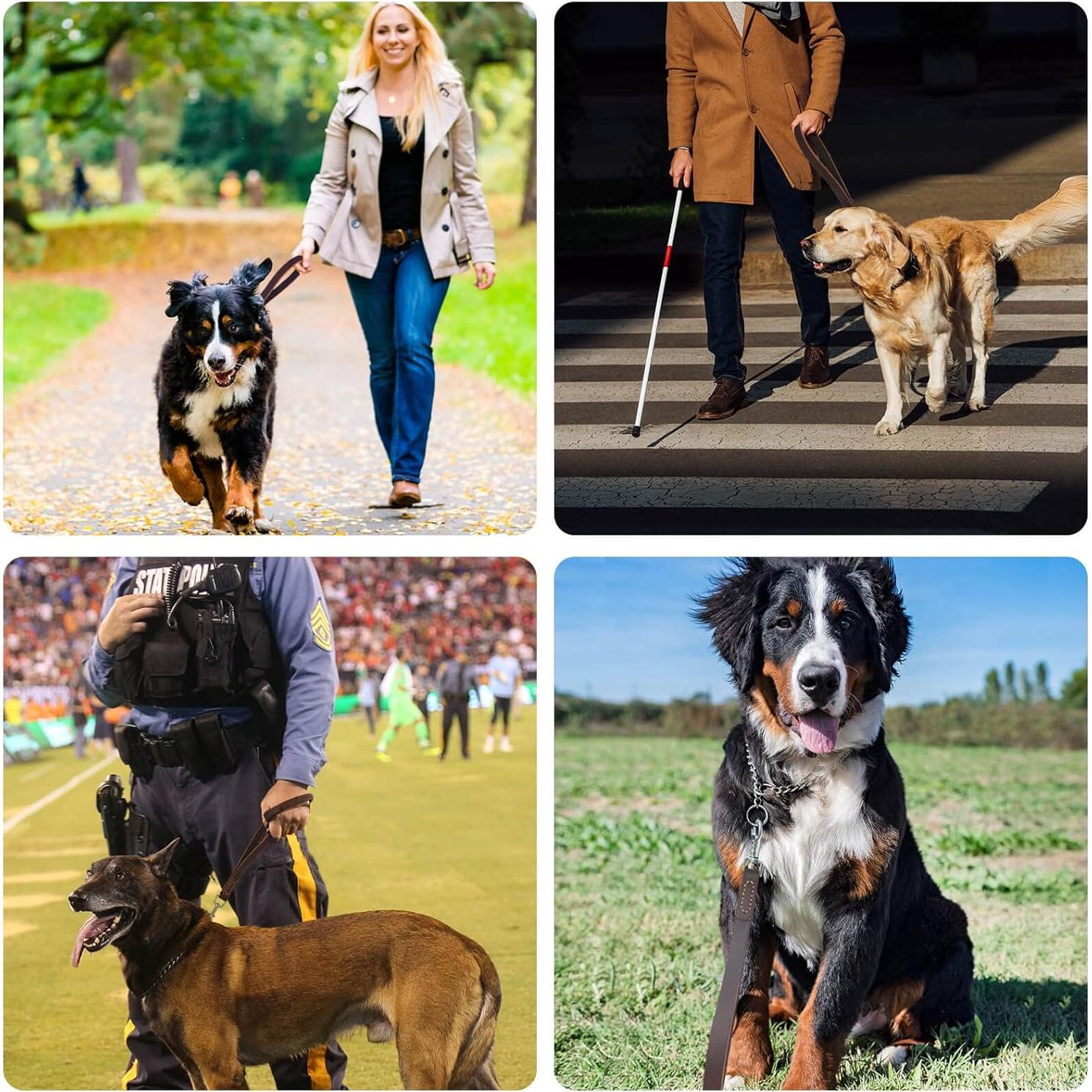 Correa corta de perro HONGSAGE de cuero 30.48 cm con gancho 360°