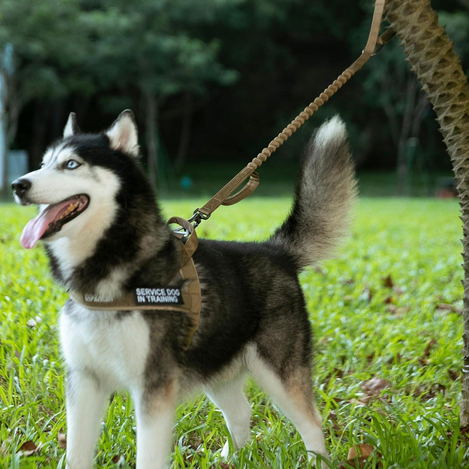 Correa elástica para perros Excellent Elite Spanker 2 mangos