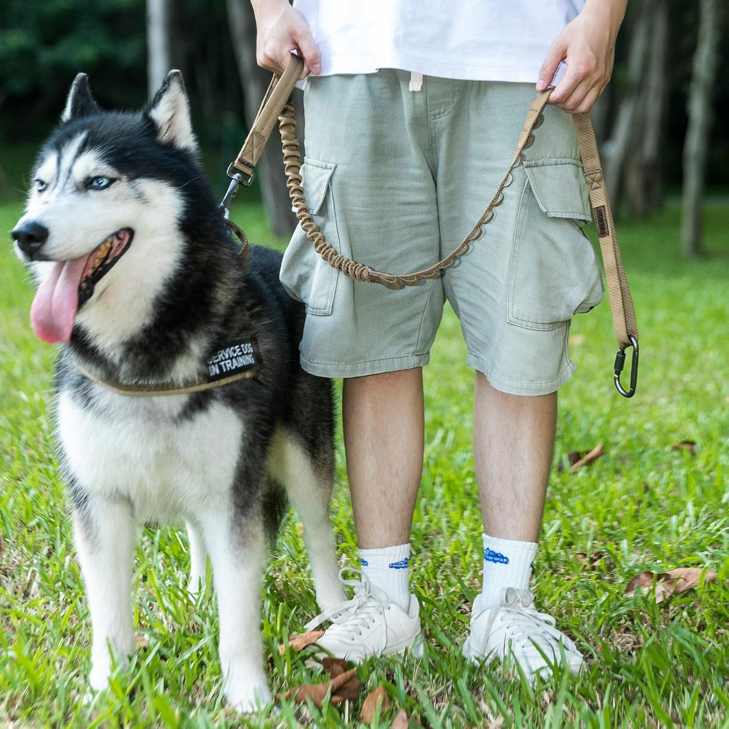 Correa elástica para perros Excellent Elite Spanker 2 mangos