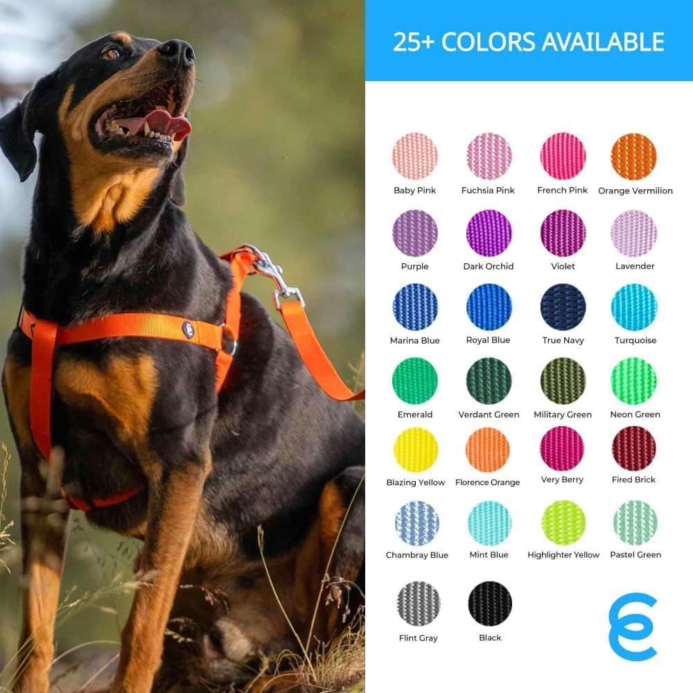 Correa para Perro X-Pequeño Blueberry Pet Rosa 1.52 m Nylon