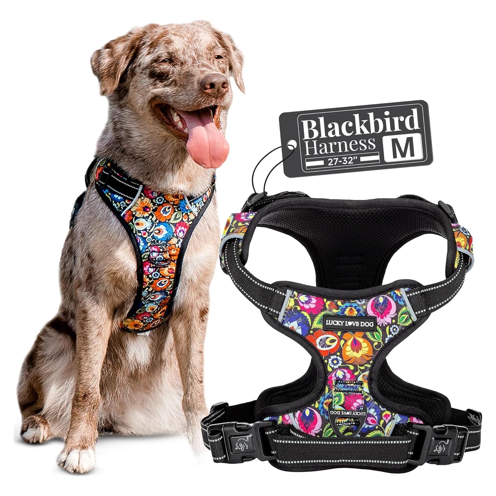 Arnés para Perros Lucky Love Ajustable No Pull Mediano Blackbird
