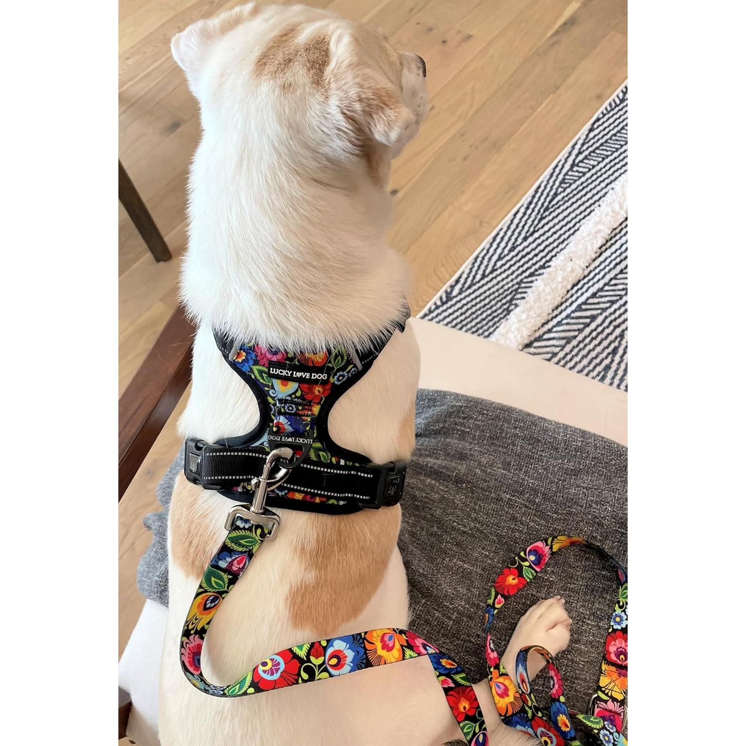 Arnés para Perros Lucky Love Ajustable No Pull Mediano Blackbird