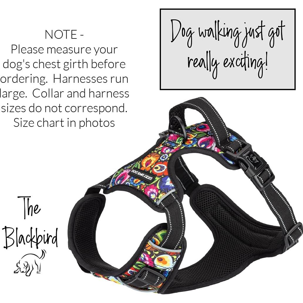 Arnés para Perros Lucky Love Ajustable No Pull Mediano Blackbird