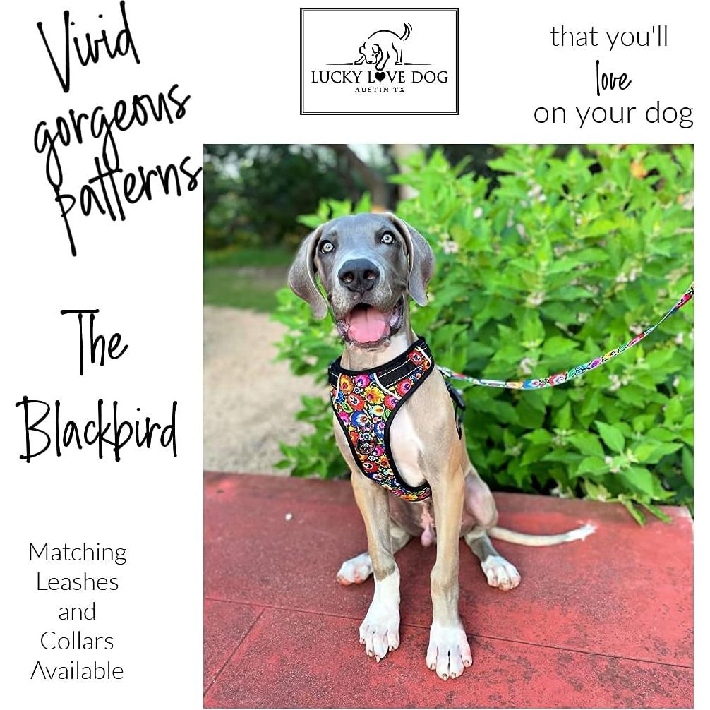 Arnés para Perros Lucky Love Ajustable No Pull Mediano Blackbird