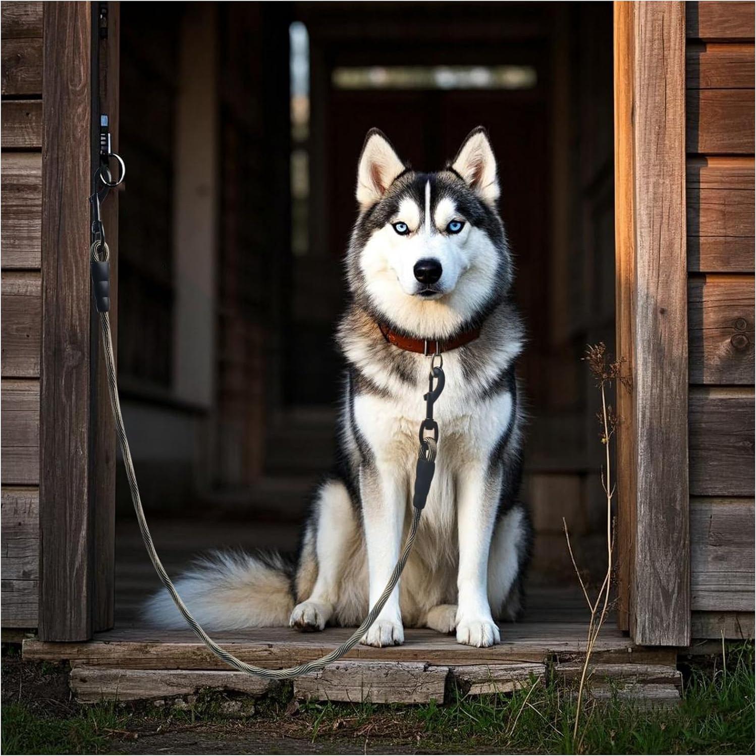 Atadura Corta para Perros BTINESFUL 0.91m Nylon Resistente