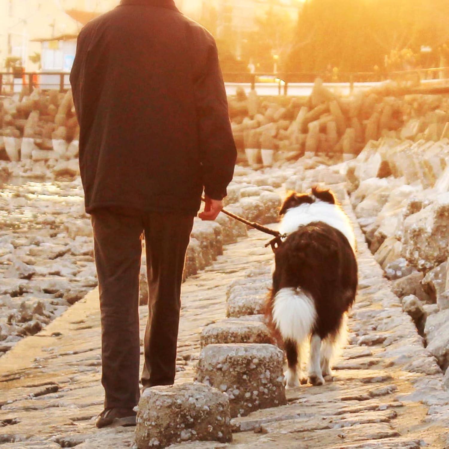 Cable de Amarre para Perros Mi Metty 3m Alta Resistencia Naranja