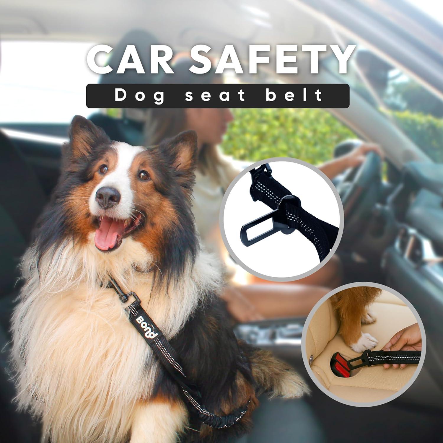 Correa Manos Libres para Perros BOND con Cinturón y Riñonera