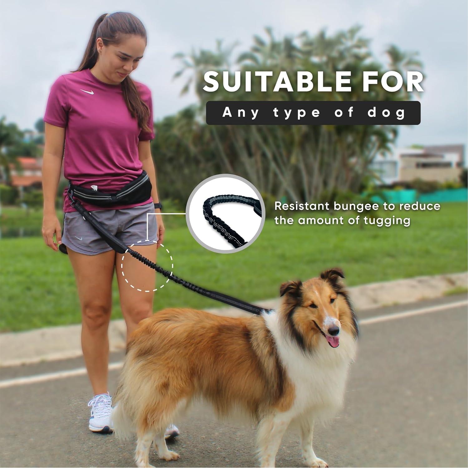 Correa Manos Libres para Perros BOND con Cinturón y Riñonera