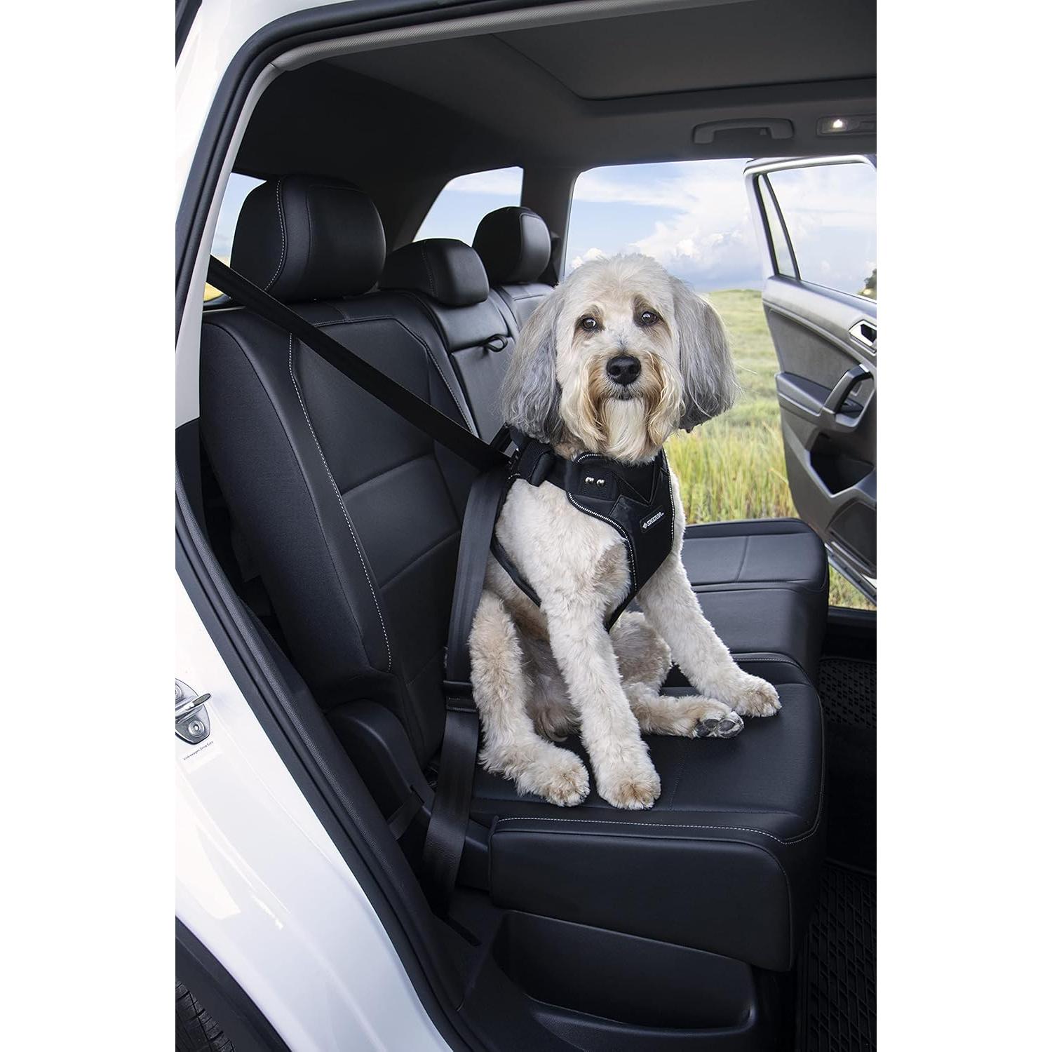 Arnés de Perro de Seguridad Sherpa - Grande, Negro, Probado en Choques