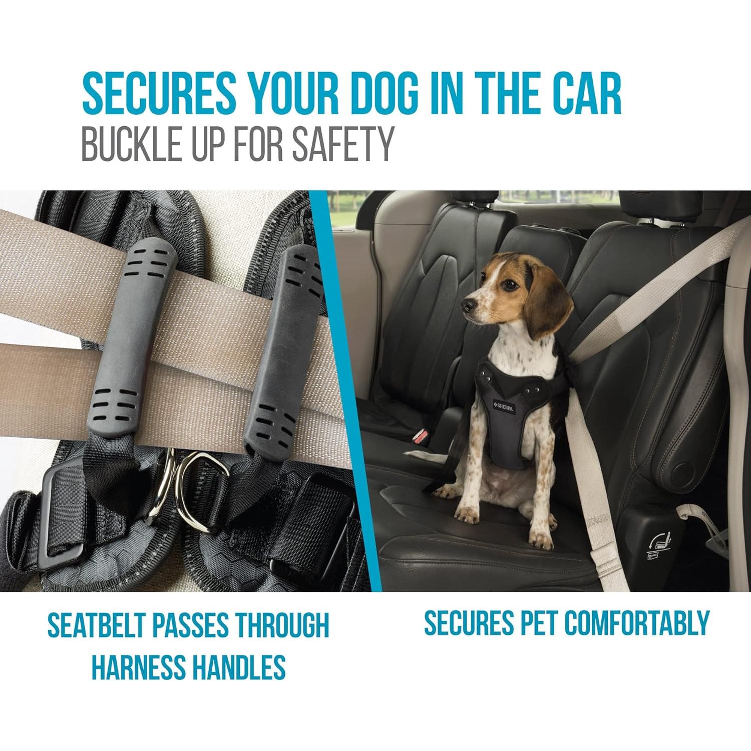 Arnés de Perro de Seguridad Sherpa - Grande, Negro, Probado en Choques