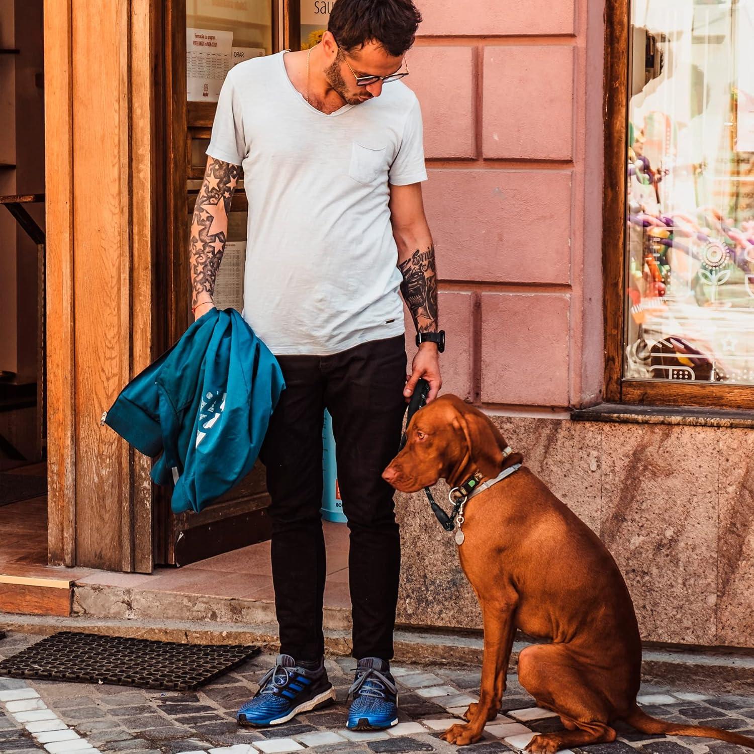 Correa para Perros GEIT 1.52m Nylon Reflectante con Clip Aluminio