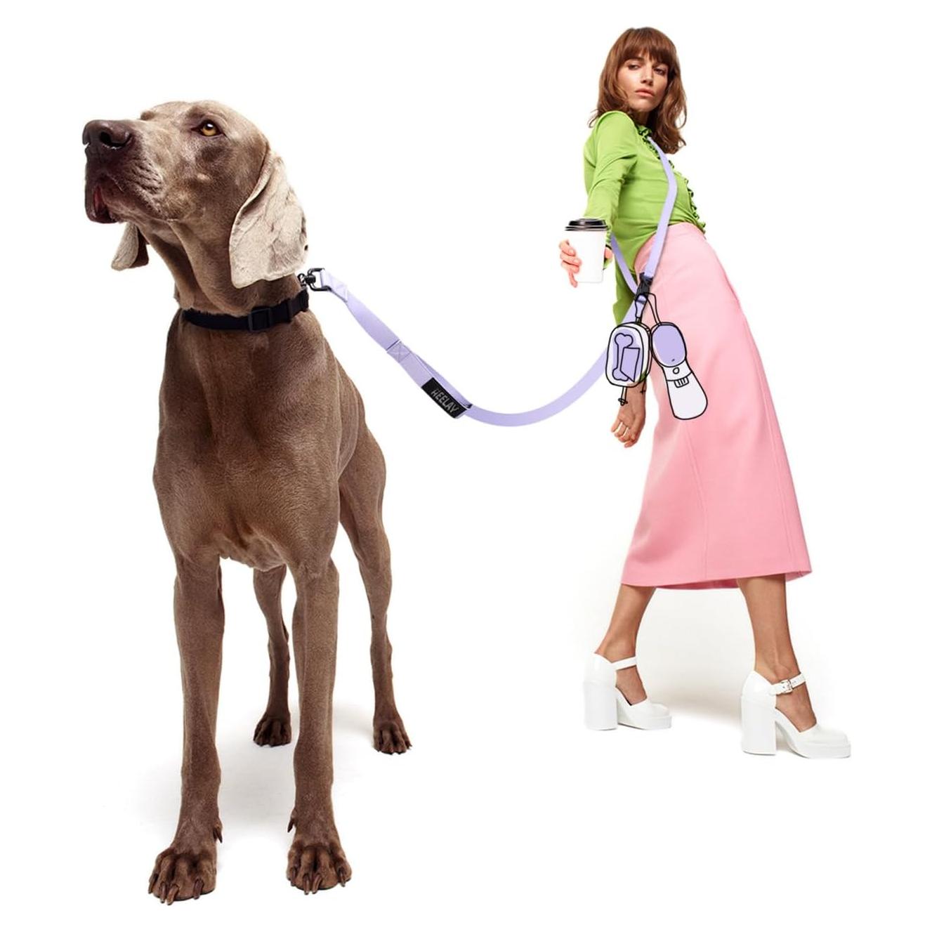 Correa Manos Libres para Perros Heelay 2.5m Ajustable Morado