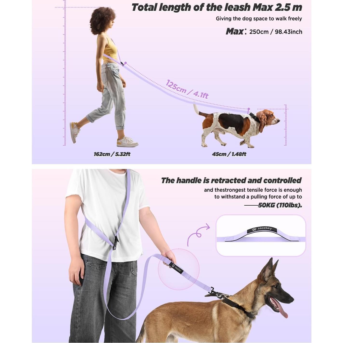 Correa Manos Libres para Perros Heelay 2.5m Ajustable Morado