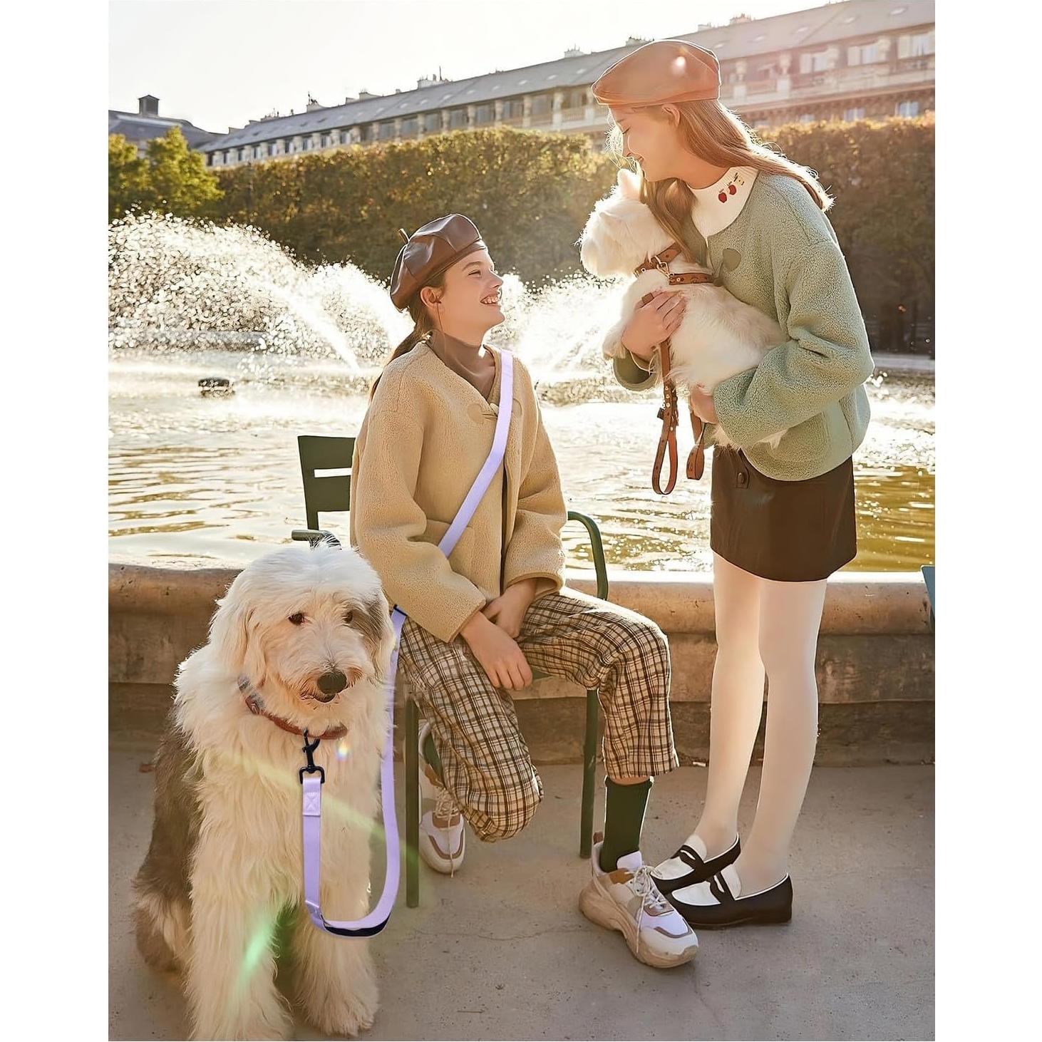 Correa Manos Libres para Perros Heelay 2.5m Ajustable Morado