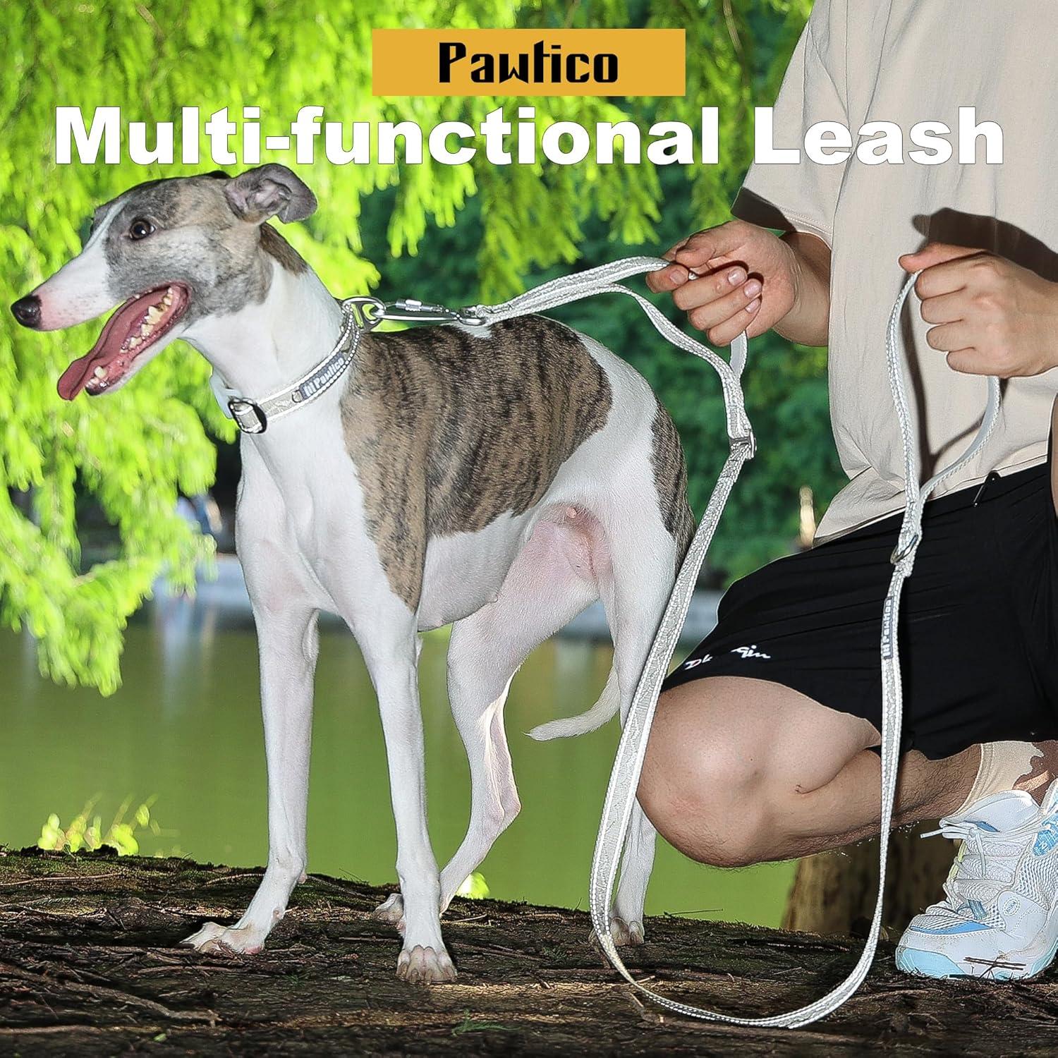 Correa de Perro 3-en-1 Pawtico Oro Champán 1.52m Acolchada