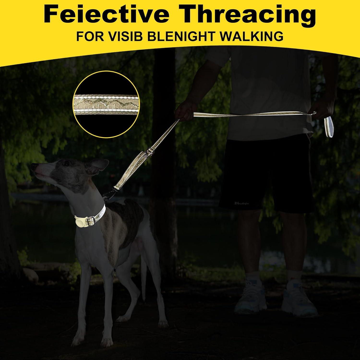 Correa de Perro 3-en-1 Pawtico Oro Champán 1.52m Acolchada