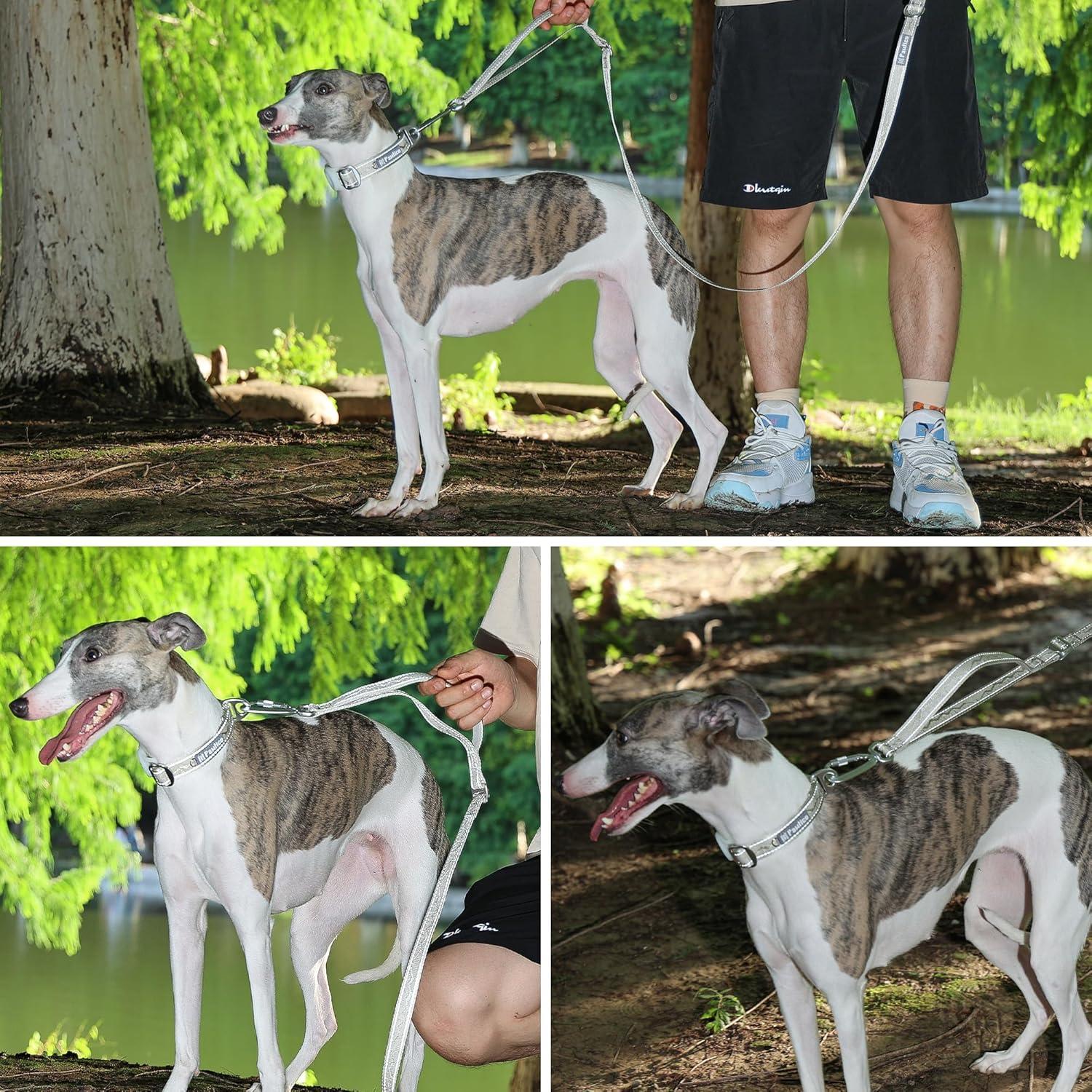 Correa de Perro 3-en-1 Pawtico Oro Champán 1.52m Acolchada