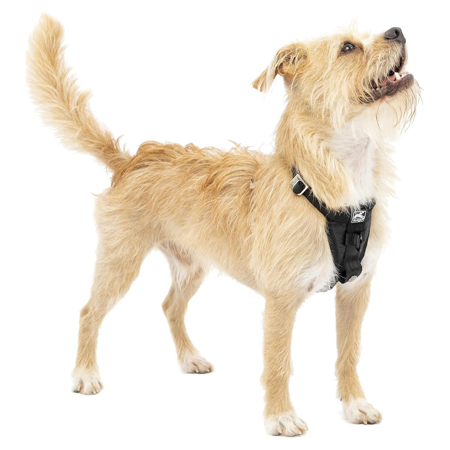 Arnés para Perros Kurgo Tru-Fit Smart X-Pequeño Negro