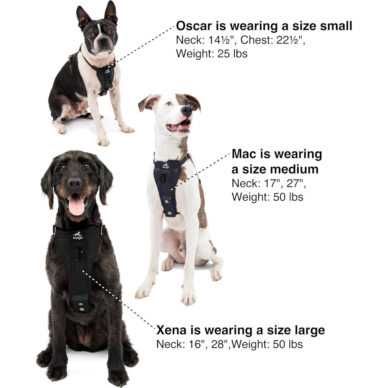 Arnés para Perros Kurgo Tru-Fit Smart X-Pequeño Negro