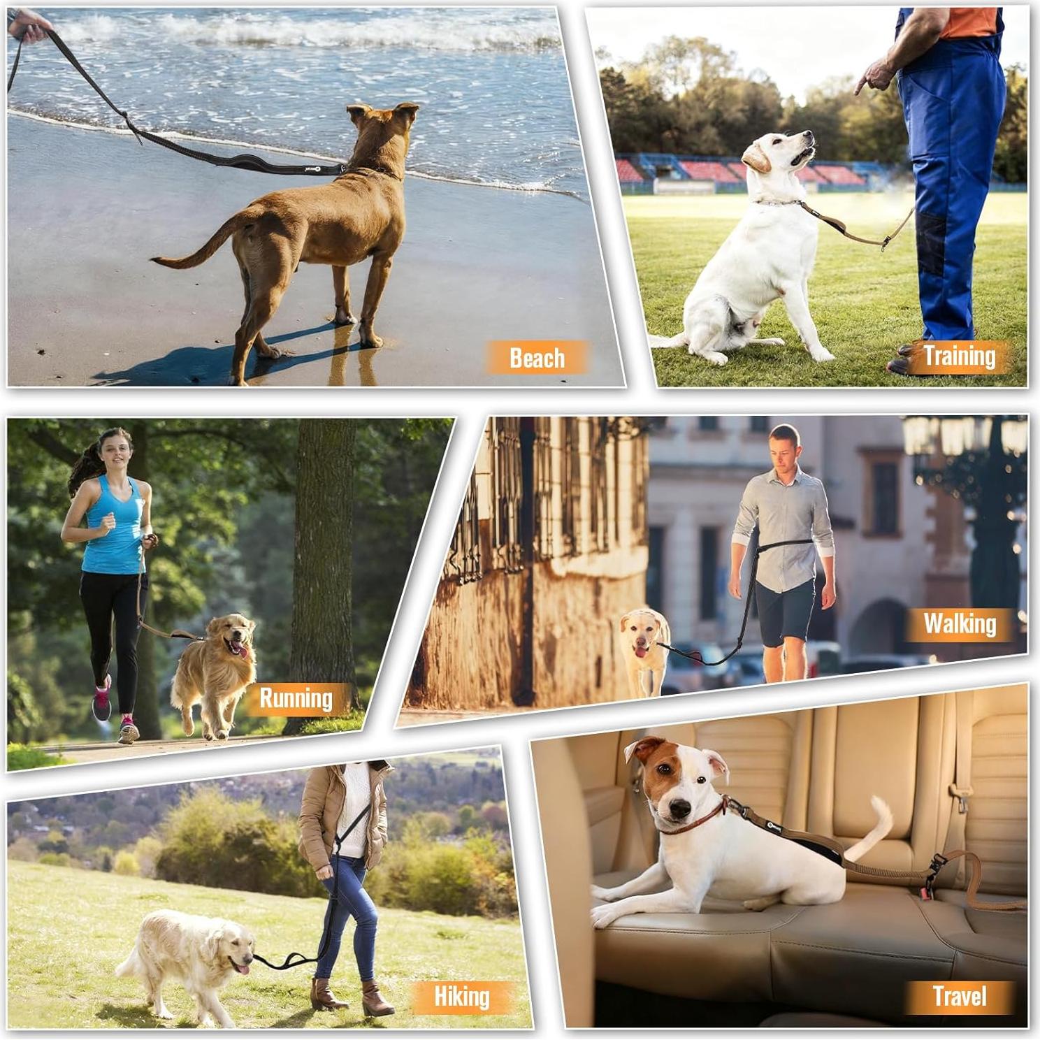 Correa de Perro Elástica TUAHOO 2 en 1 Ajustable 1.92 a 2.95 m