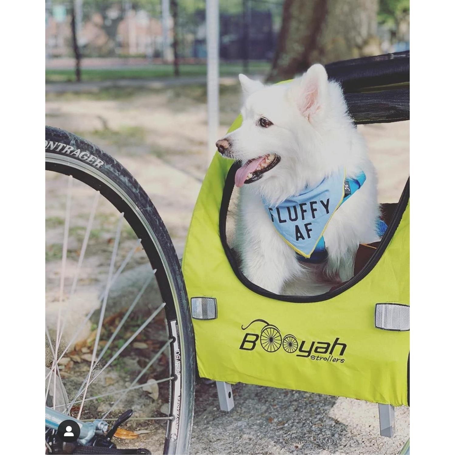 Carrito Remolque para Bicicleta Booyah Mediano 27 kg Verde