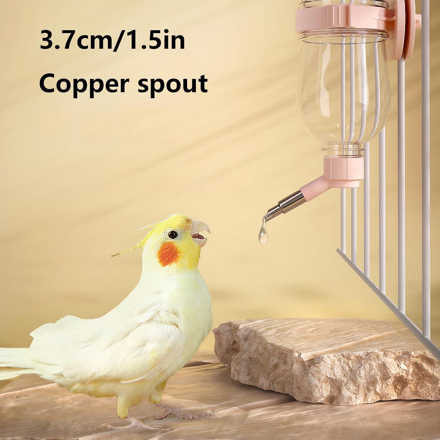 Botella de Agua Sin Goteo 500ml Fanlahmtasy para Mascotas